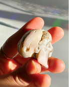Pink Opal Skull - Baltic Mermaid