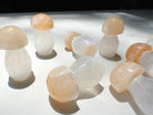 Lil’ Selenite Mushrooms Baltic Mermaid