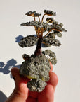 Pyrite Abundance Tree