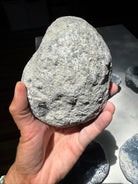 Celestite Cluster Baltic Mermaid