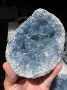 Celestite Cluster Baltic Mermaid