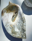 Ocean Jasper Dish