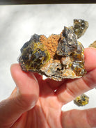 Rare Mali Green Grossular Andradite Garnet Epimorph w/ Clinochlore AAA Quality Baltic Mermaid