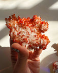 Vanadinite on Barite from Morocco