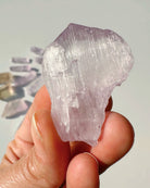 Raw Kunzite - Baltic Mermaid
