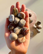 Crazy Lace Agate Tumbled Stones - Baltic Mermaid