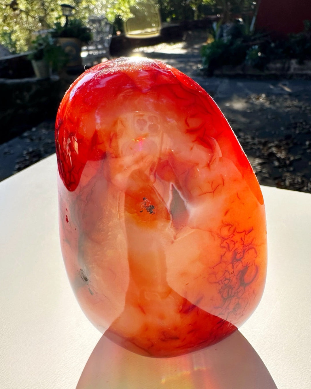 Carnelian Agate Freeform