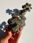 Pyrite Abundance Tree