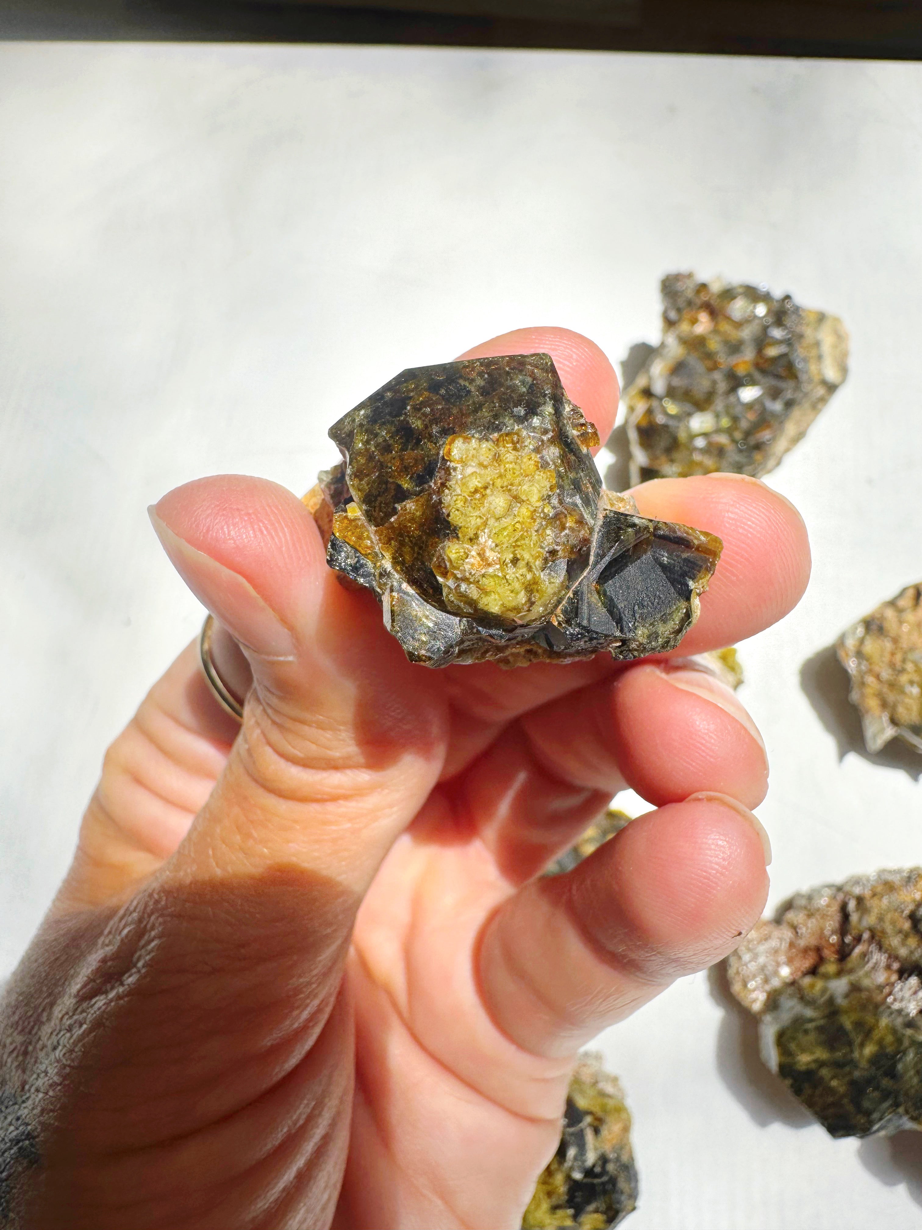 Rare Mali Green Grossular Andradite Garnet w/ Clinochlore AAA Quality Baltic Mermaid