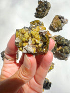 Rare Mali Green Grossular Andradite Garnet w/ Clinochlore AAA Quality Baltic Mermaid