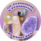 Lil’ Protection & Prosperity Crystal Set - Baltic Mermaid