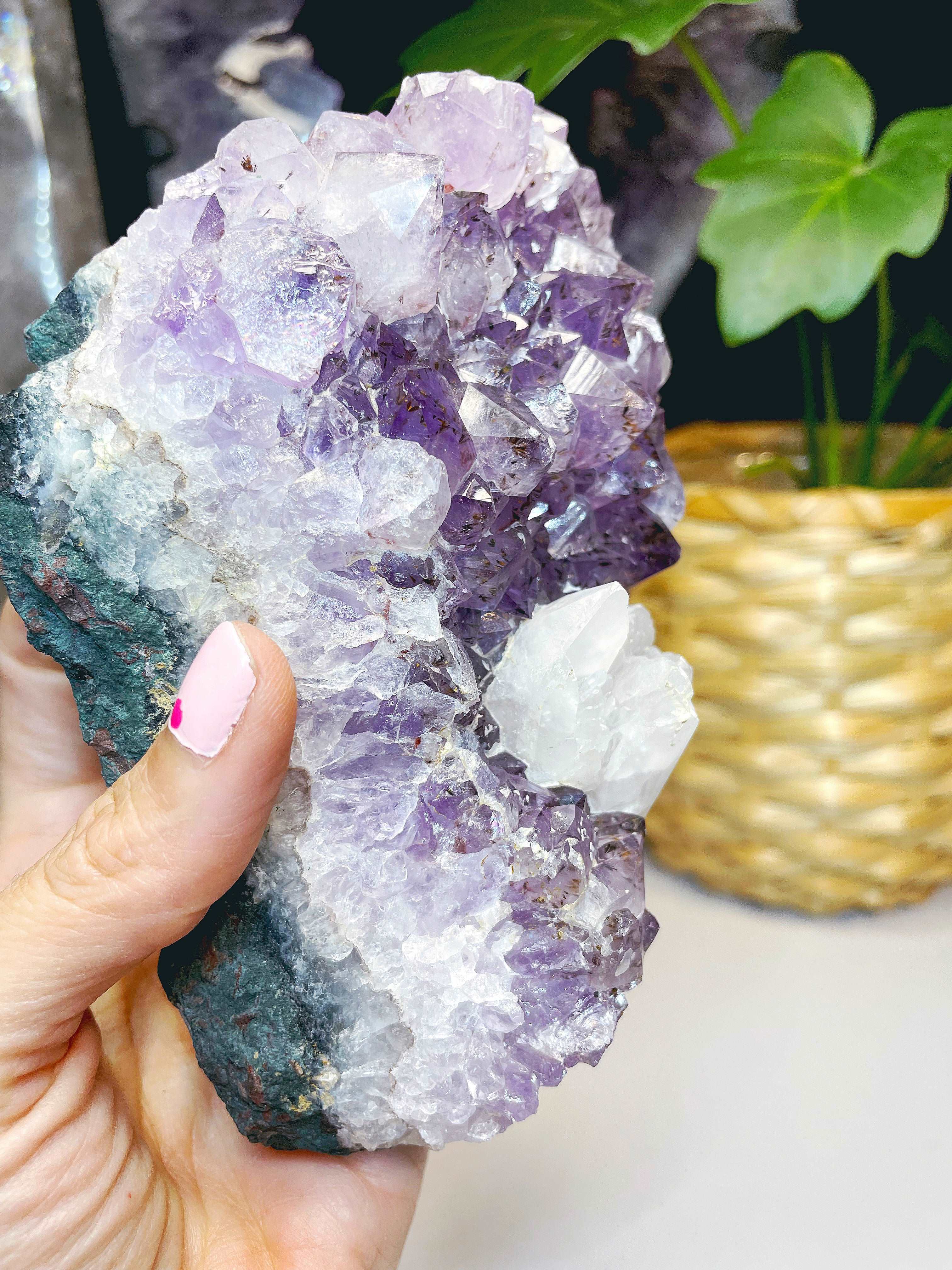 Amethyst Cluster w/ Dogtooth Calcite