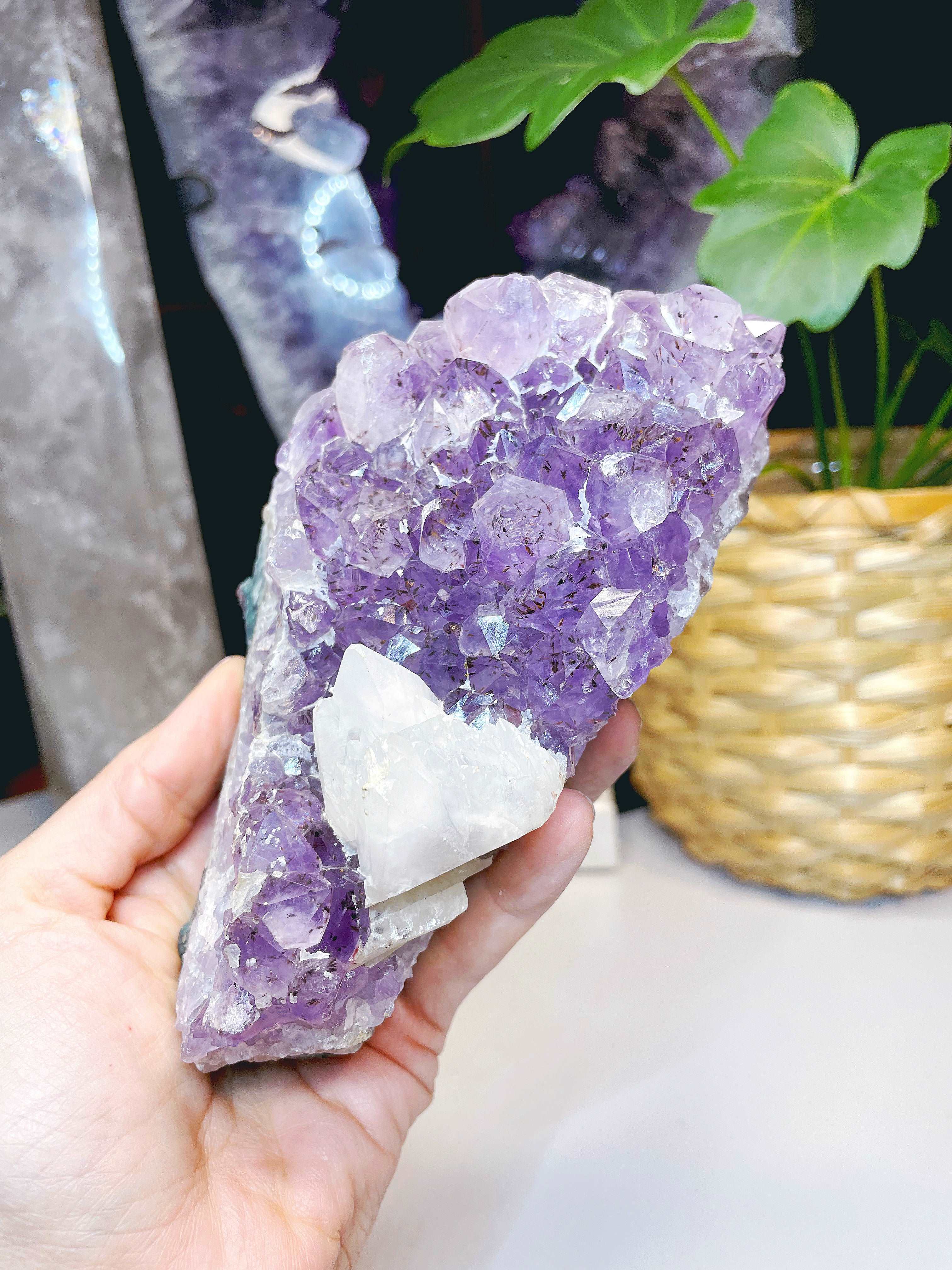 Amethyst Cluster w/ Dogtooth Calcite