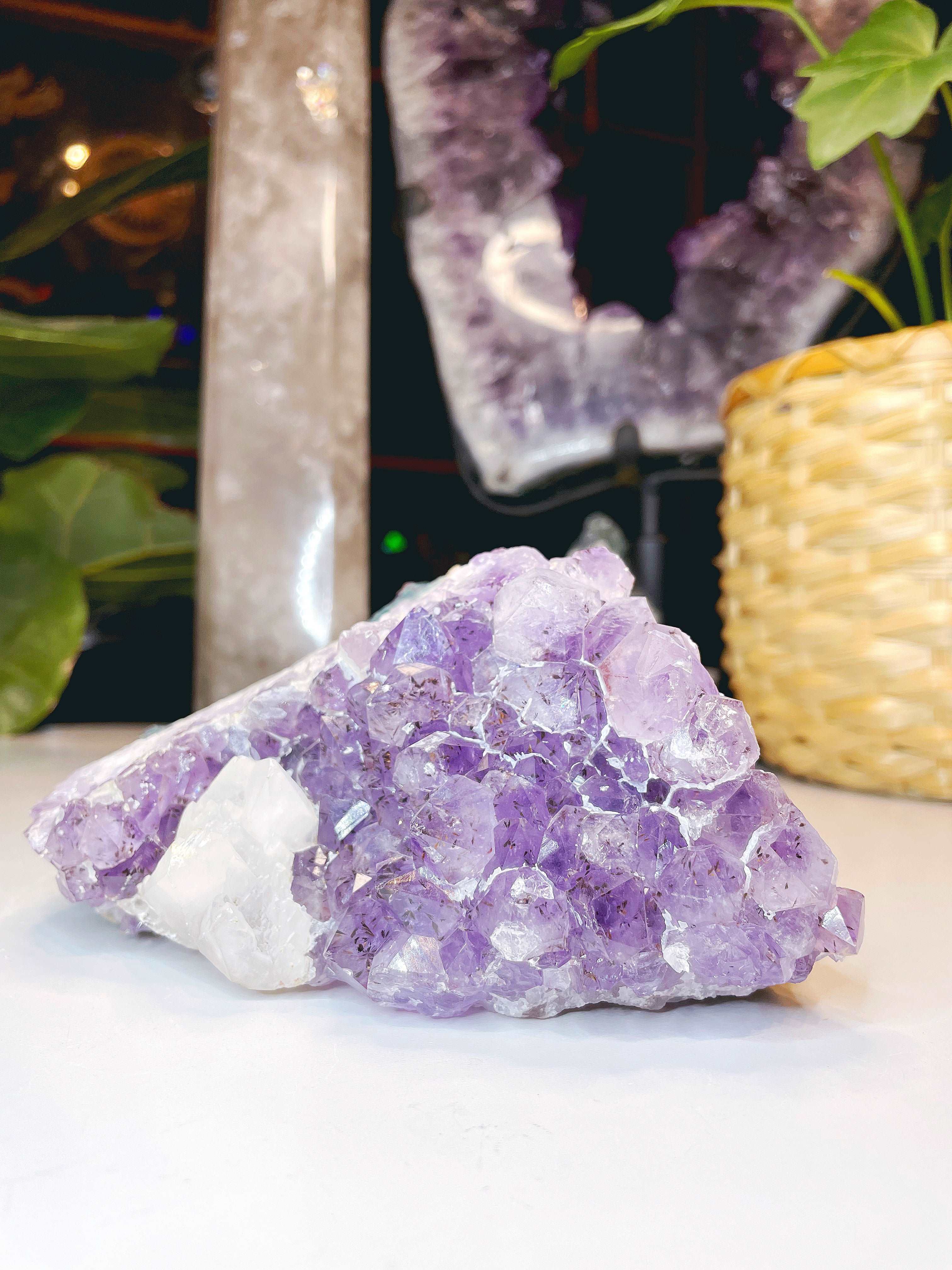 Amethyst Cluster w/ Dogtooth Calcite