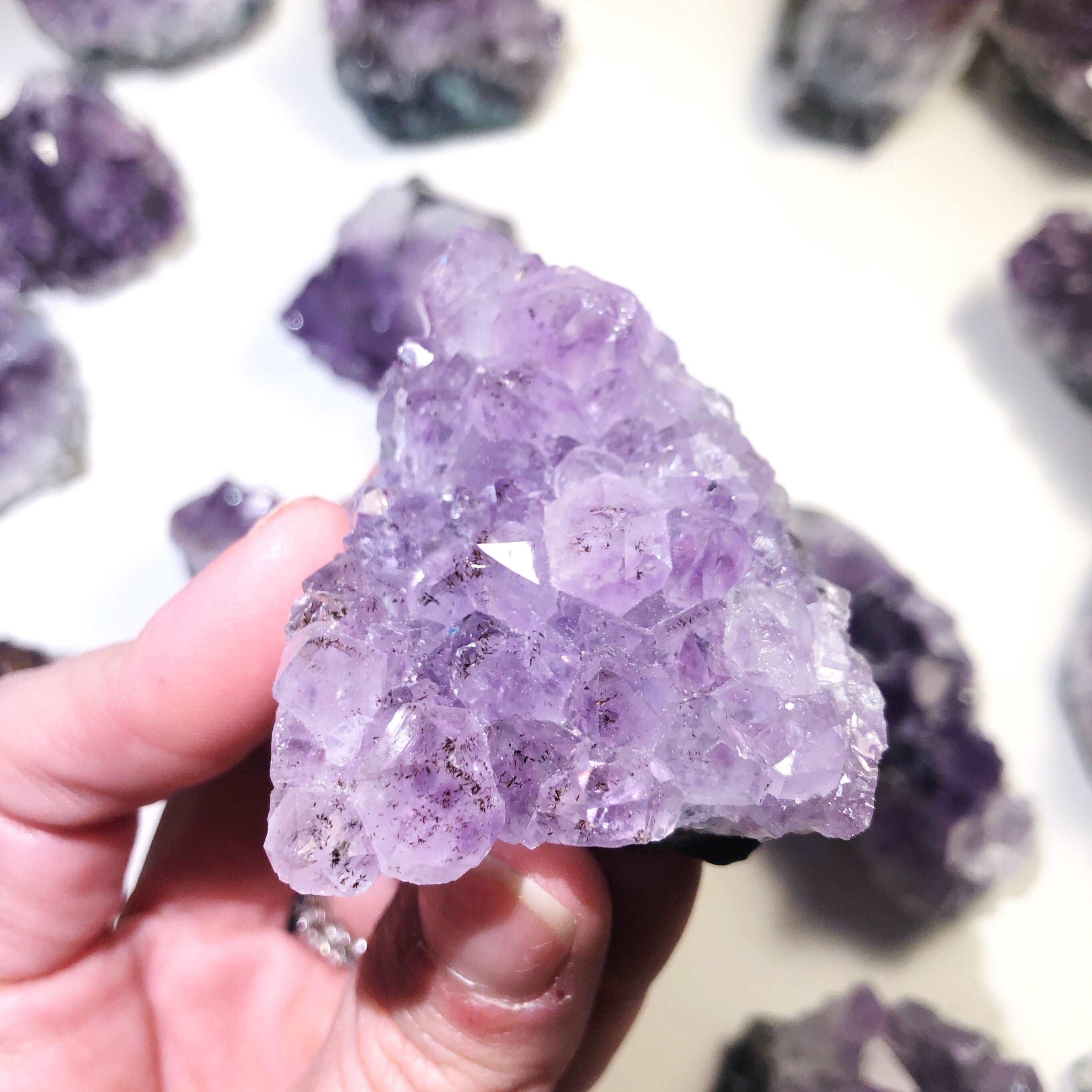 Amethyst Clusters