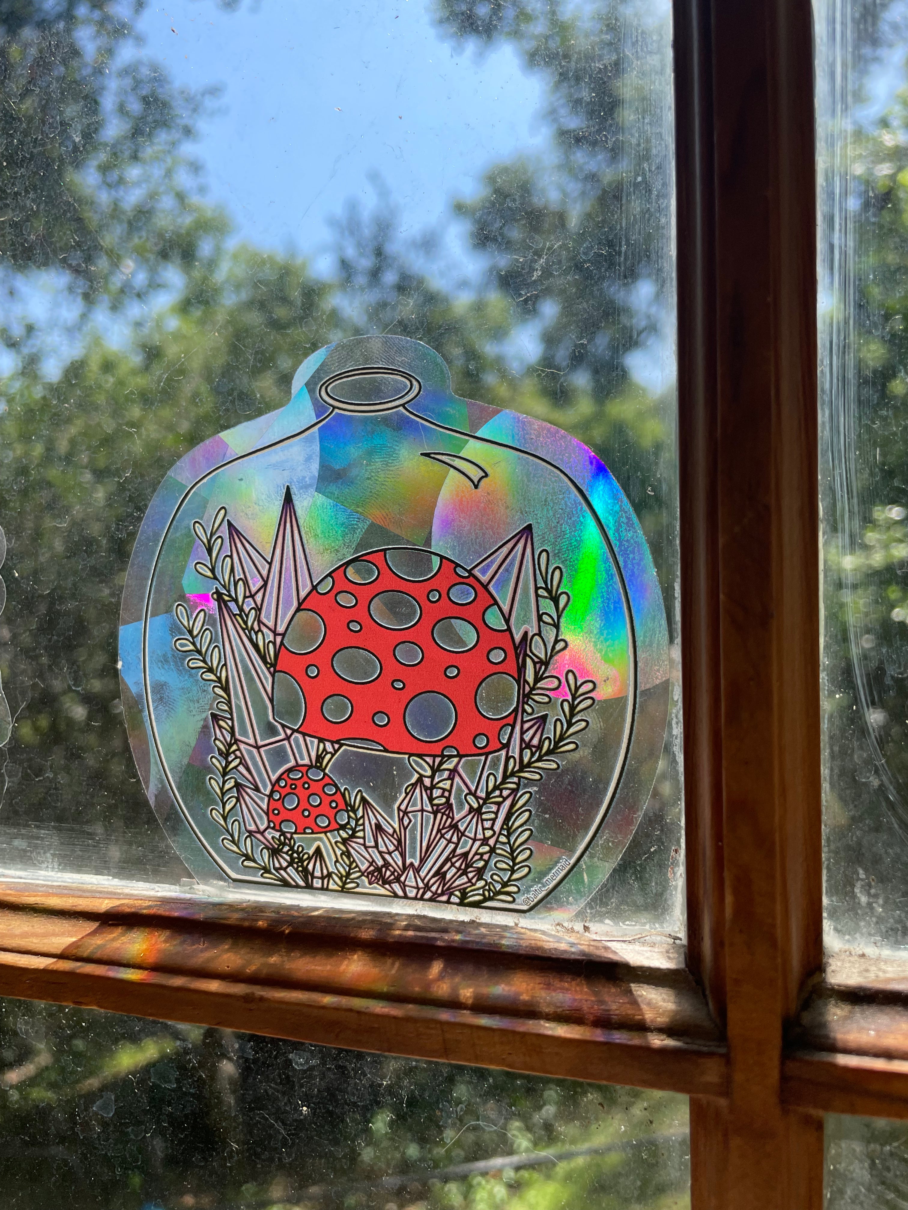 Mushrooms in Jar Rainbow Prism Window Decal - Baltic Mermaid