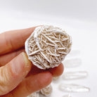 Desert Rose (Selenite Gypsum) Clusters - Baltic Mermaid
