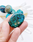 Chrysocolla Tumbled Stones