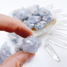 Celestite Small Rough Stones - Baltic Mermaid