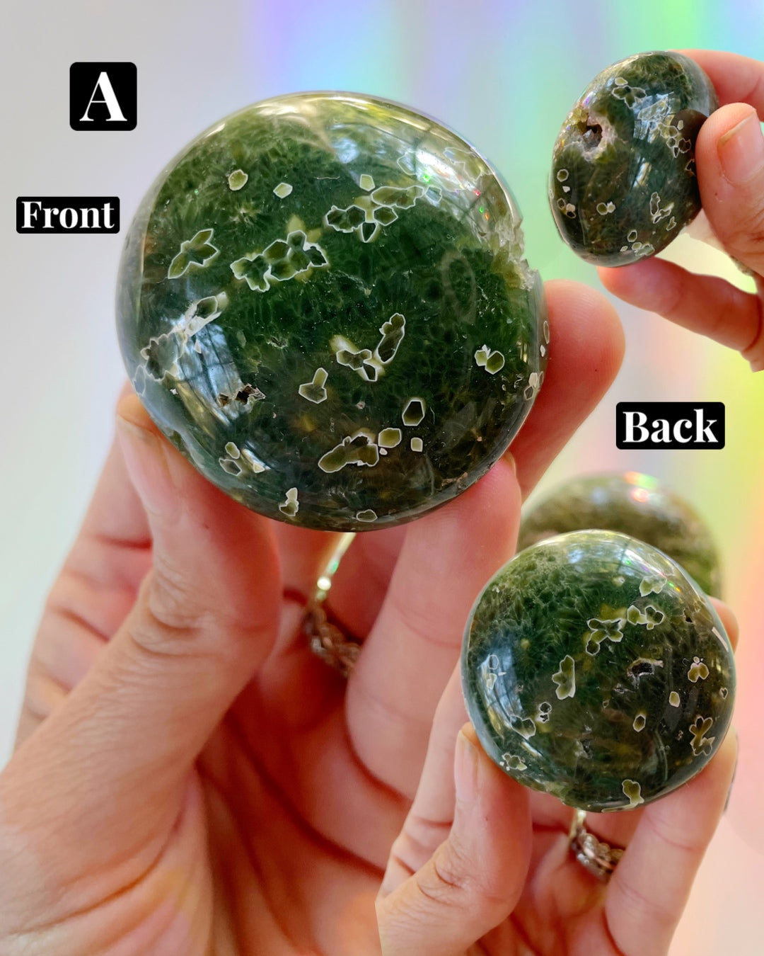 Ocean Jasper Palm Stones 7th Vein - Baltic Mermaid