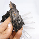 Black Kyanite Fans - Baltic Mermaid