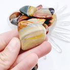Polychrome Jasper Tumbled Stones - Baltic Mermaid