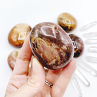 Petrified Wood Palm Stones - Baltic Mermaid