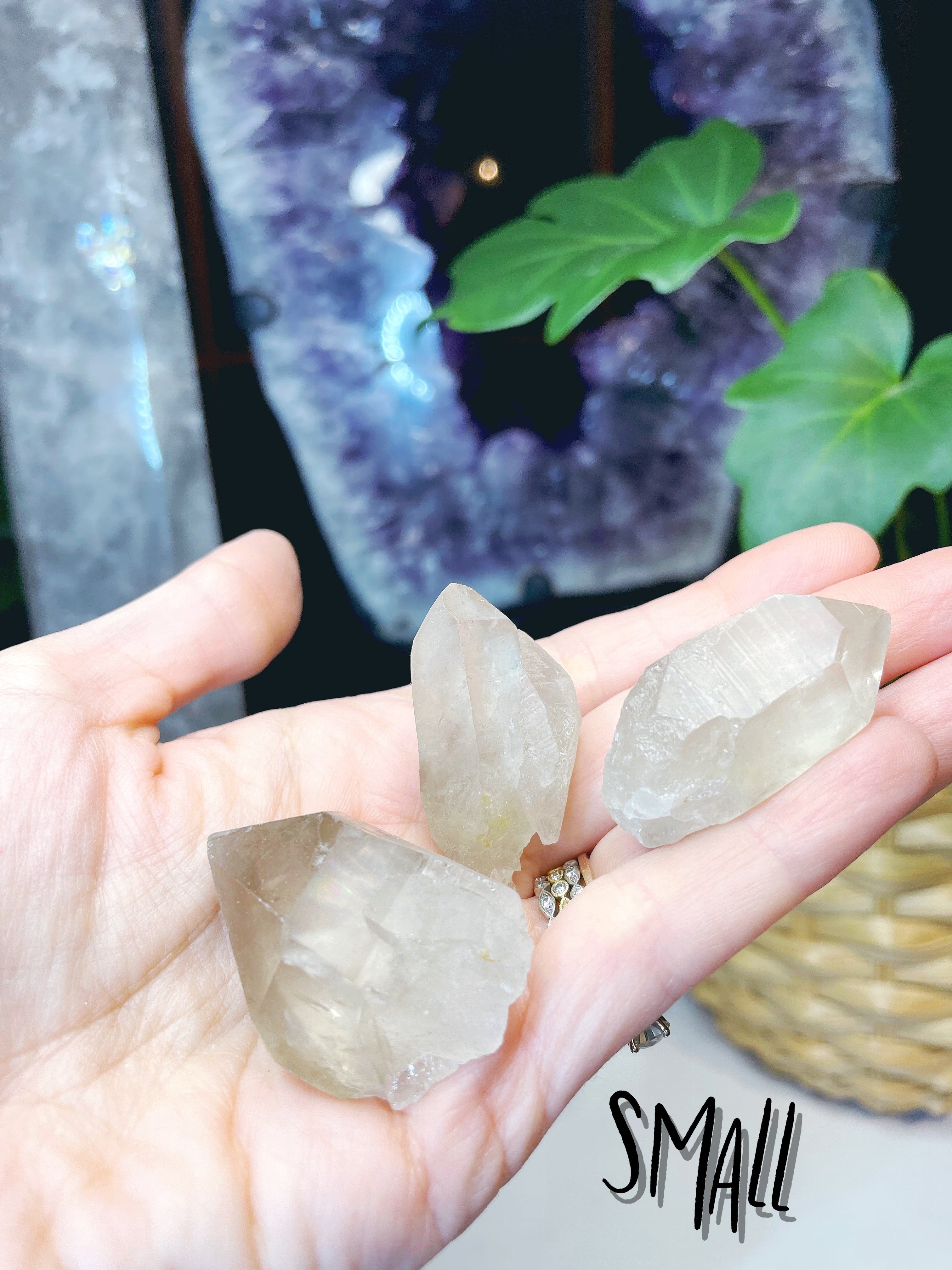 Natural Smoky Quartz Points - Baltic Mermaid