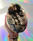 Septarian Geode Dragon Egg - Cutbase