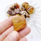 Petrified Wood Tumbled Stones - Baltic Mermaid
