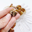 Petrified Wood Tumbled Stones - Baltic Mermaid
