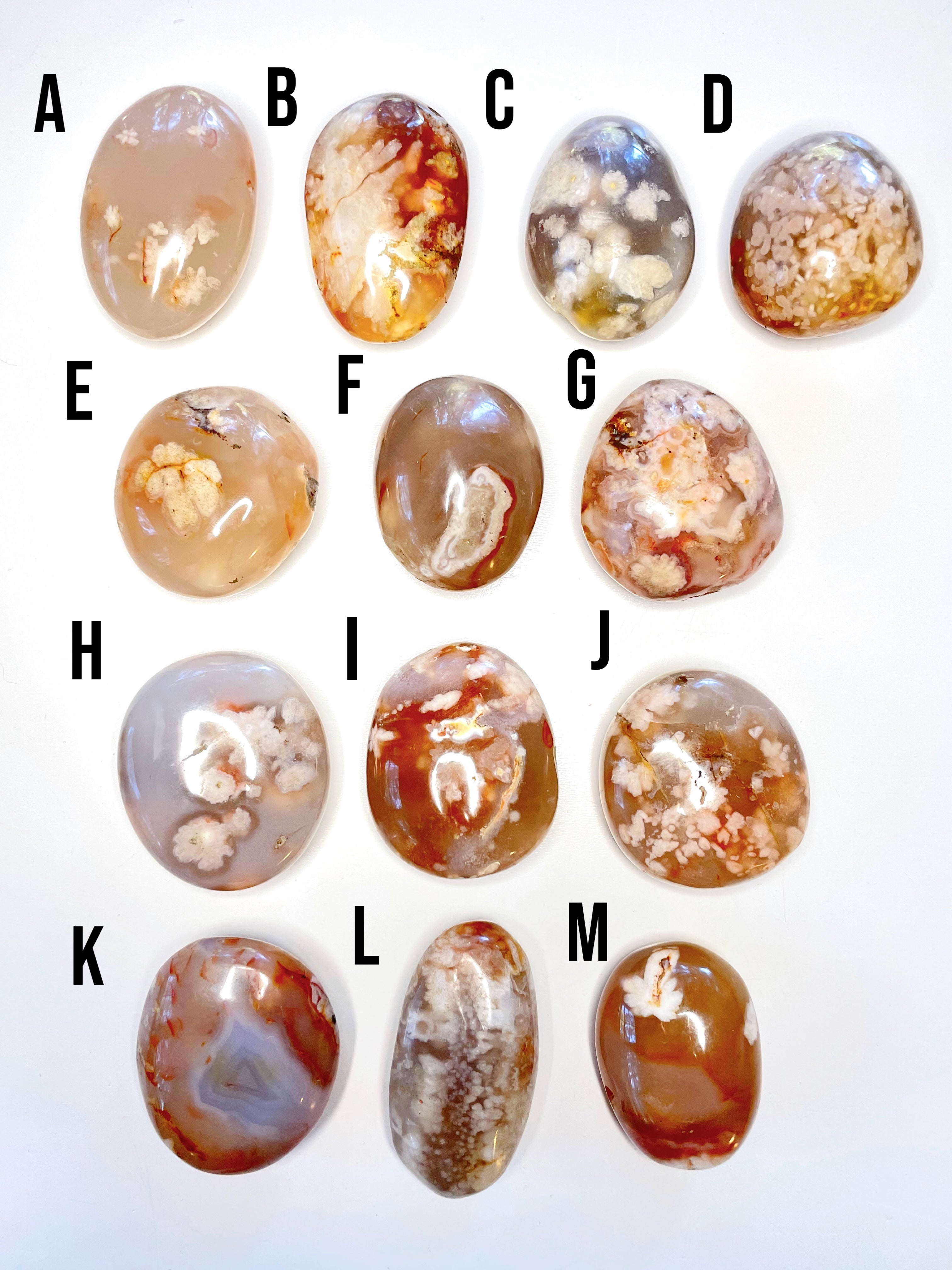 Flower Agate Palm Stones - Baltic Mermaid