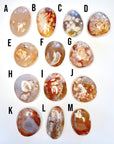 Flower Agate Palm Stones