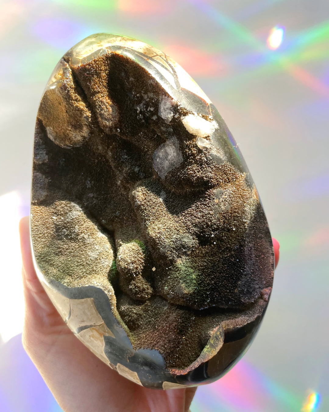 Septarian Geode Dragon Egg - Cutbase - Baltic Mermaid