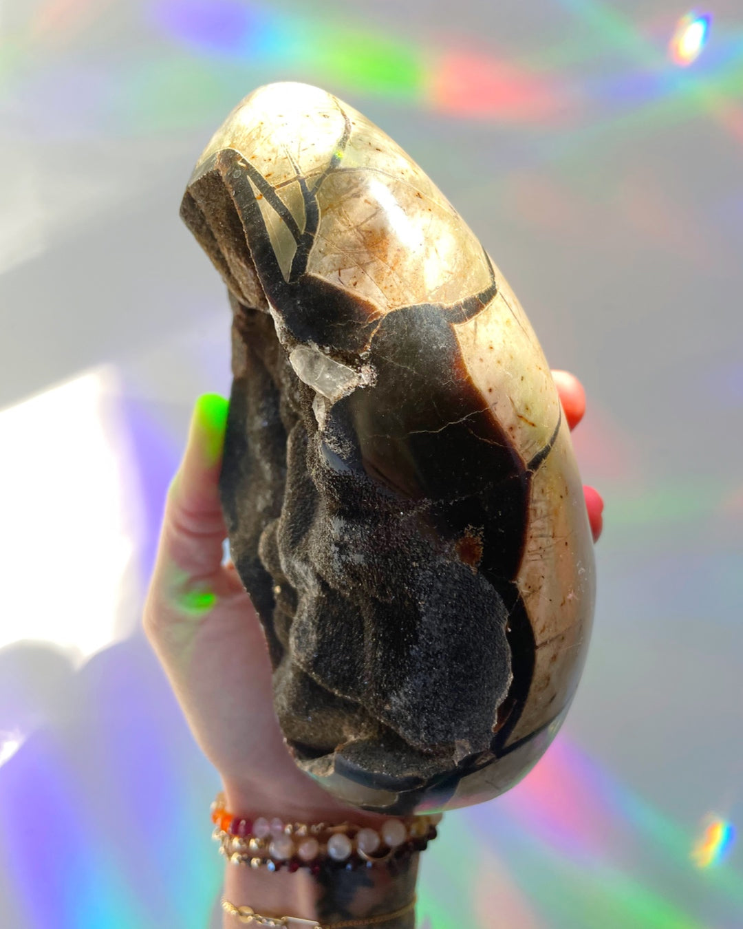 Septarian Geode Dragon Egg - Cutbase