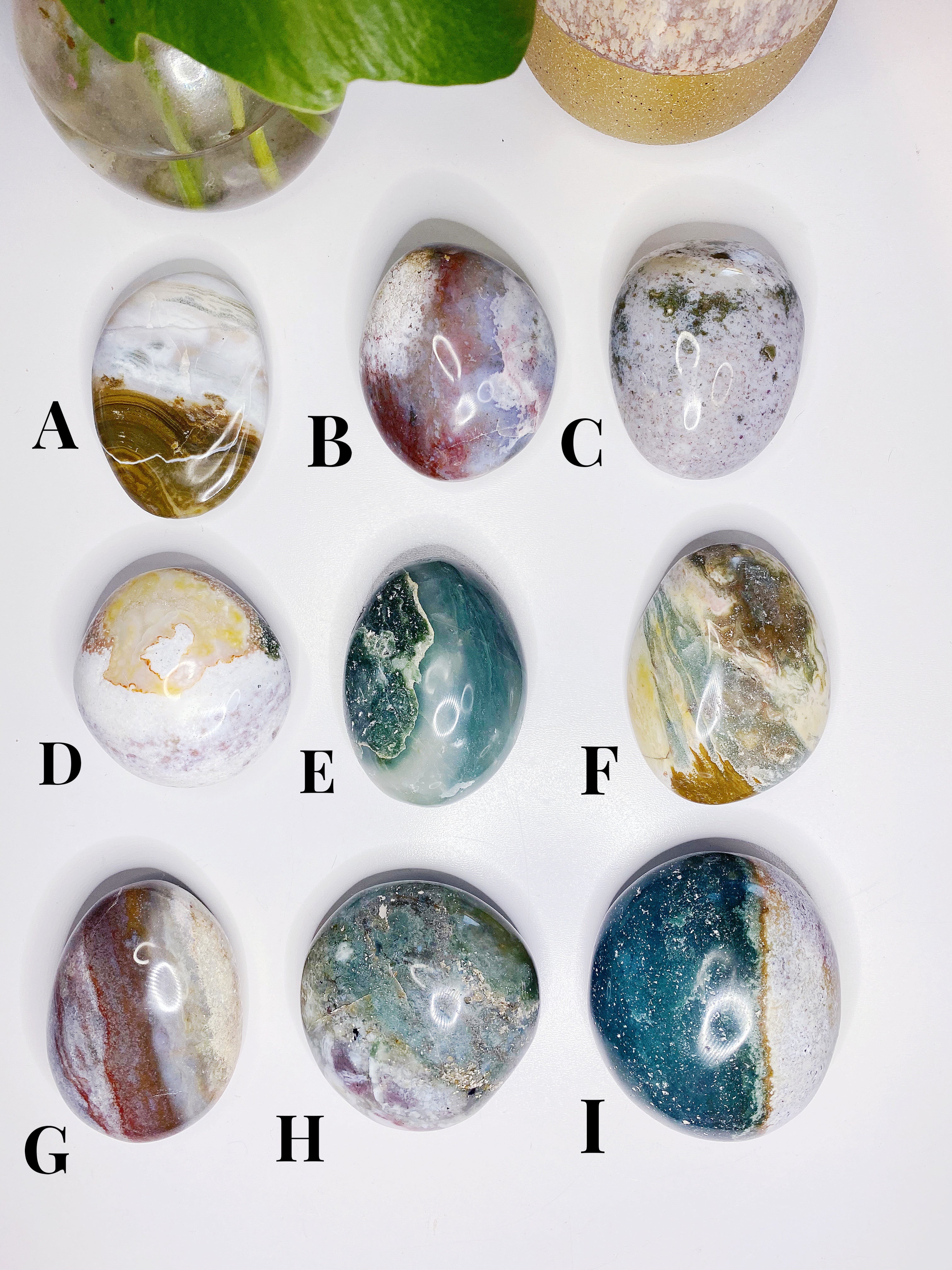Ocean Jasper Palm Stones - Large - Baltic Mermaid
