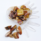 Petrified Wood Tumbled Stones - Baltic Mermaid