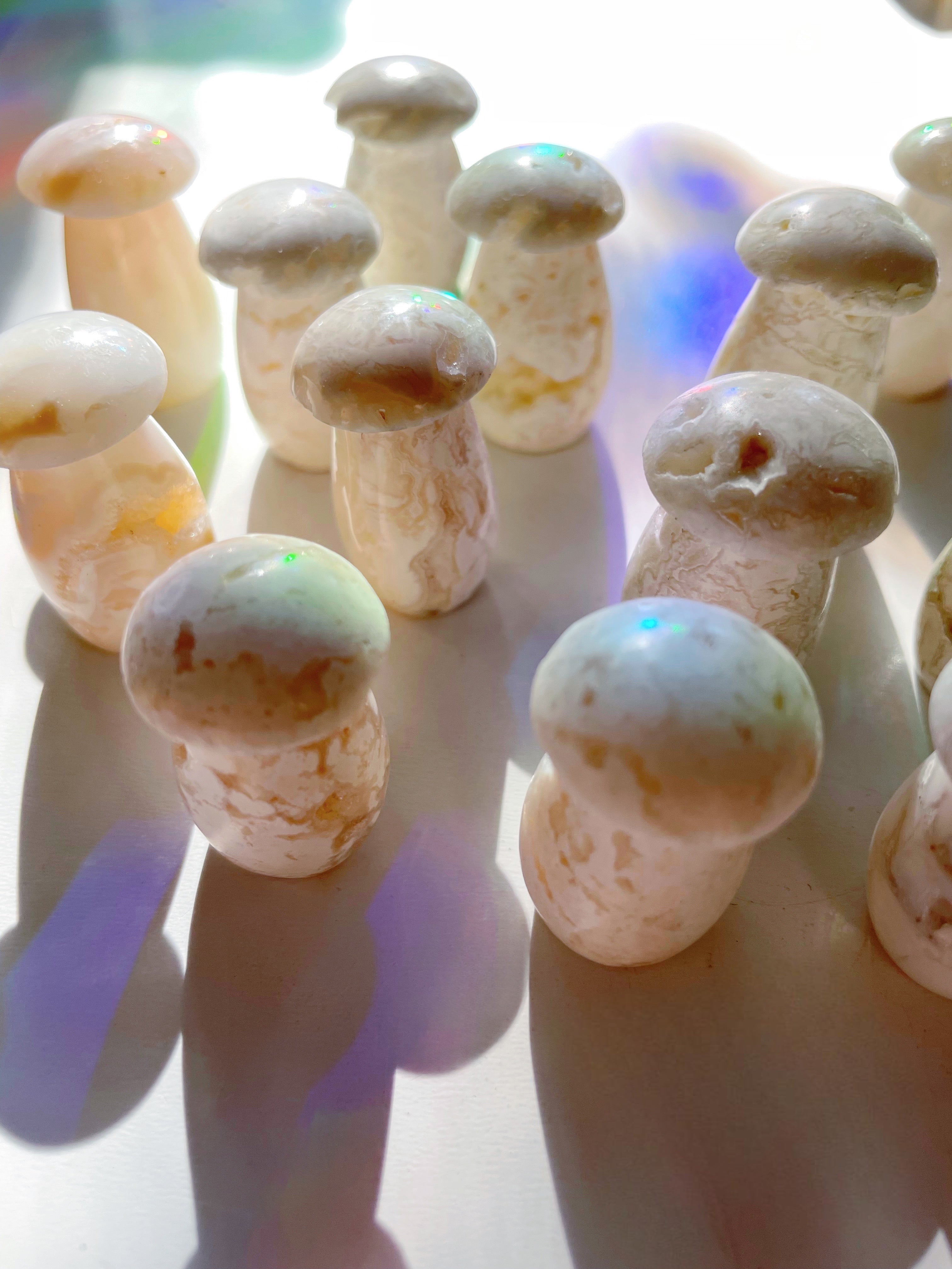 Snow Agate Mushroom - Baltic Mermaid