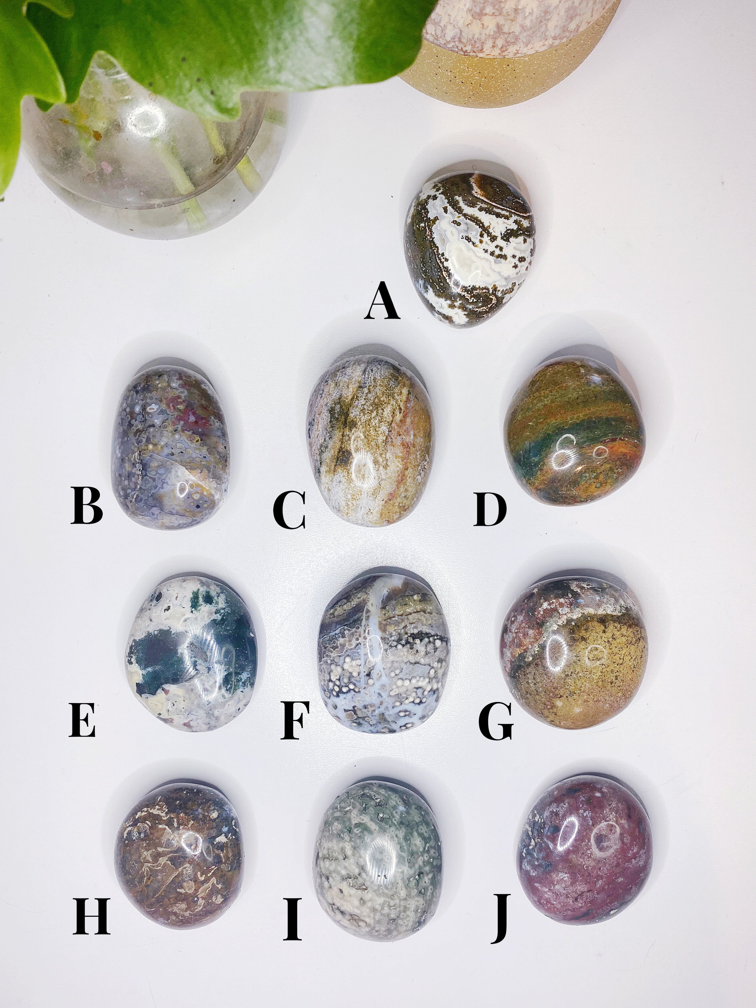 Ocean Jasper Palm Stones - Small - Baltic Mermaid
