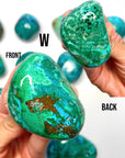 Chrysocolla Palm Stones/Large Tumbles