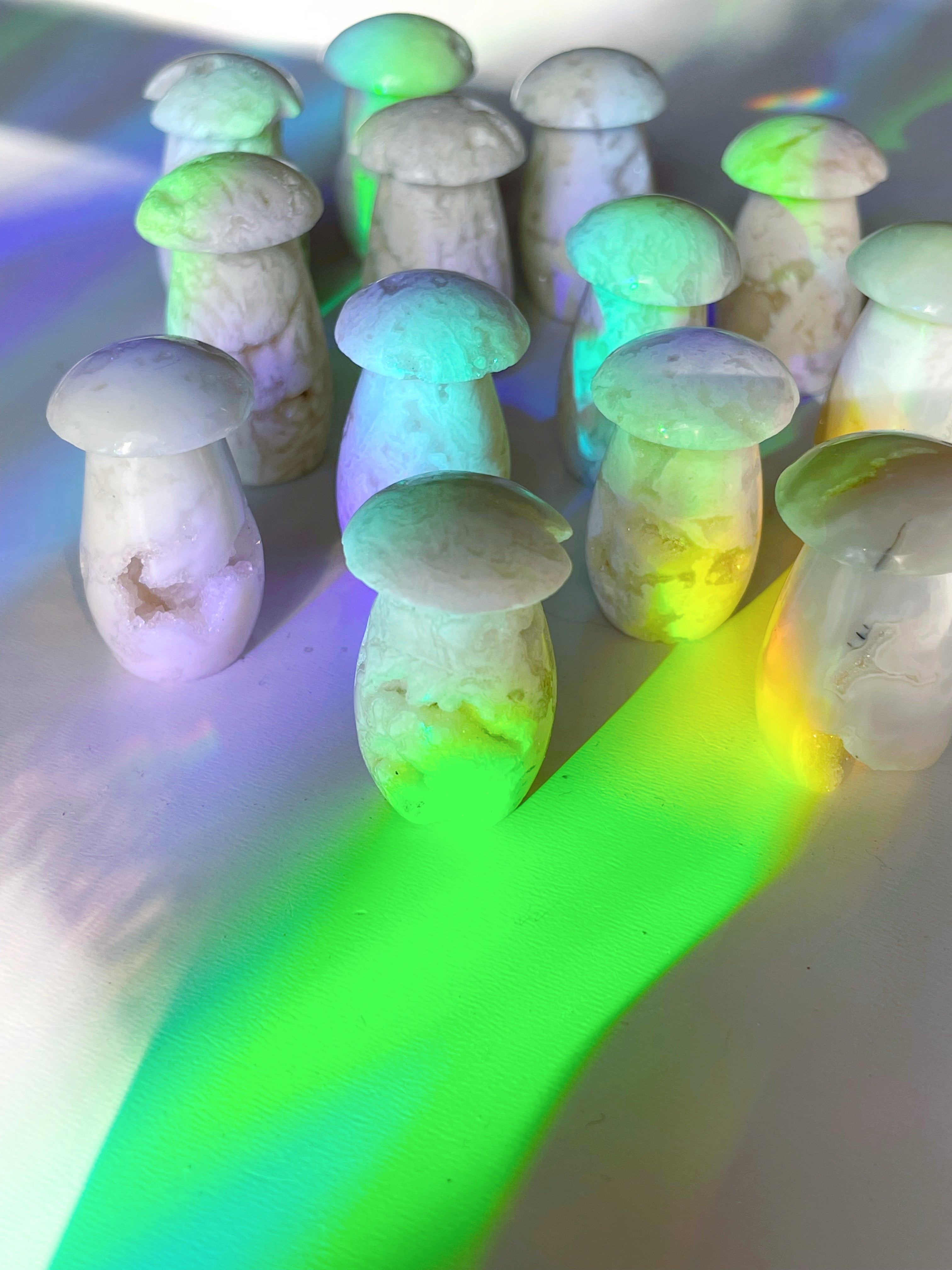 Snow Agate Mushroom - Baltic Mermaid