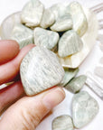 Amazonite Tumbled Stones