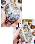 Ocean Jasper Palm Stones - Small