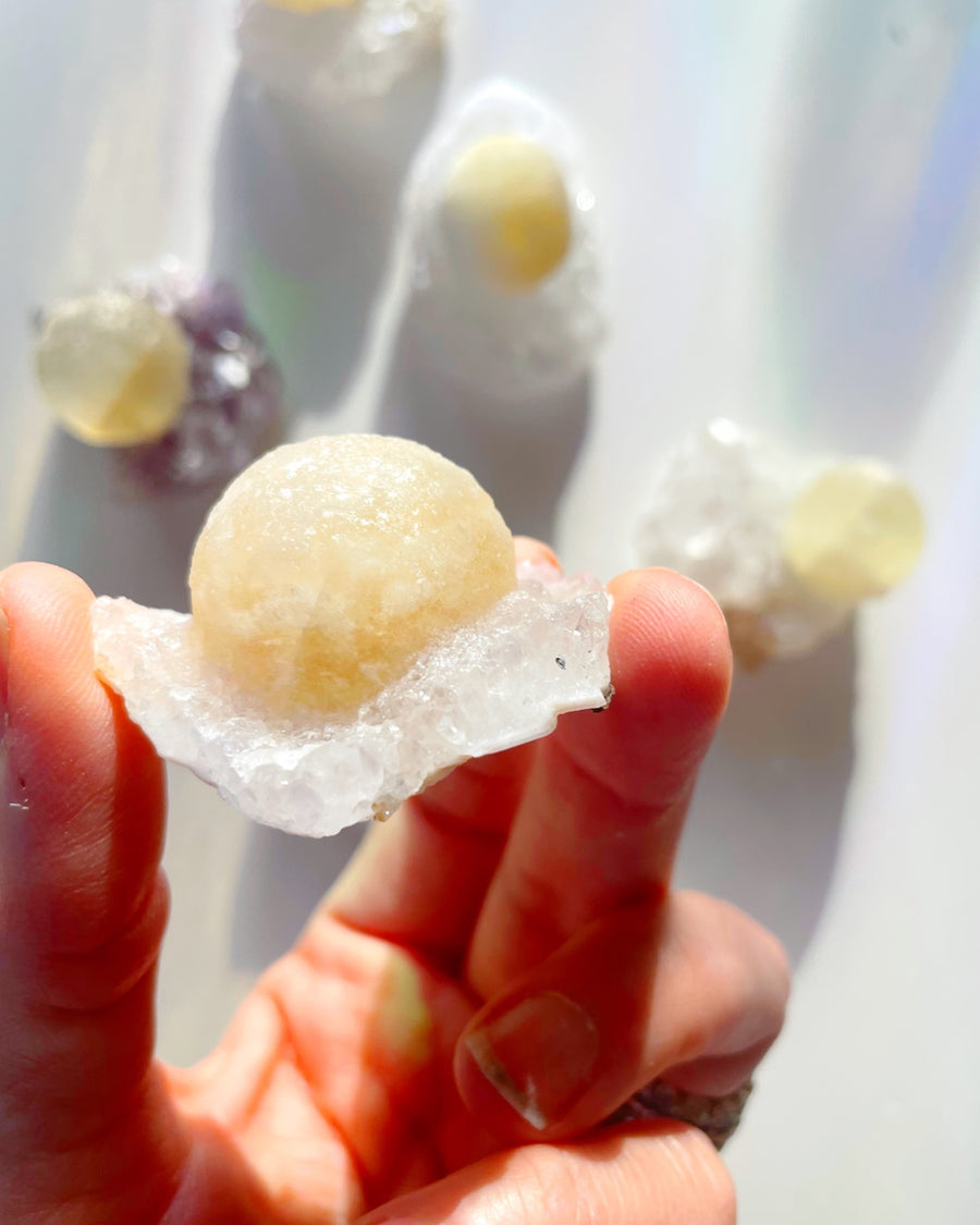 Rare Botryoidal Fluorite on Quartz “Fried Egg”
