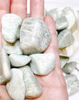 Amazonite Tumbled Stones