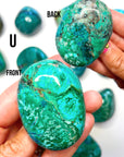 Chrysocolla Palm Stones/Large Tumbles