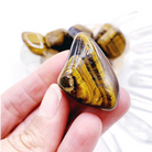 Tiger Eye Tumbled Stones - Baltic Mermaid