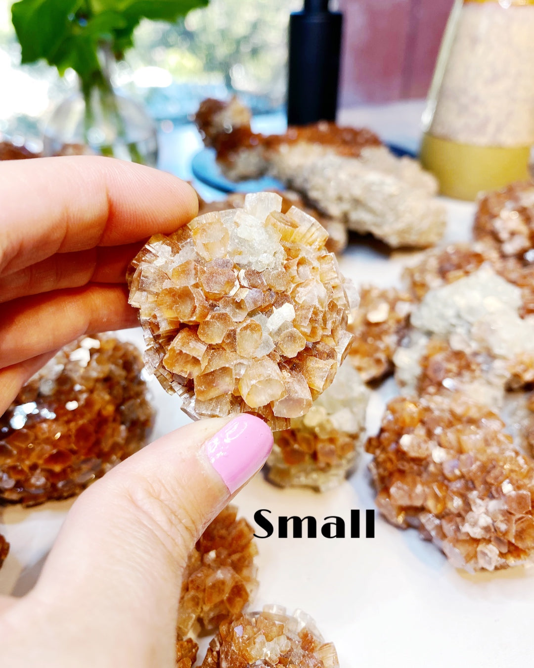 Aragonite Star Cluster - Baltic Mermaid
