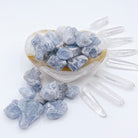 Celestite Small Rough Stones - Baltic Mermaid