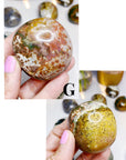 Ocean Jasper Palm Stones - Small